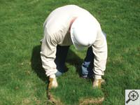 Restoring the landscaping by replacing removed sod on the ground for a Gainesville home.