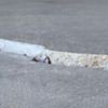 Slab floor cracks showing in a Stockbridge home