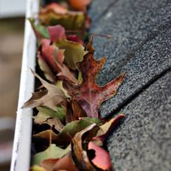 Clogged gutters filled with fall leaves  in Acworth